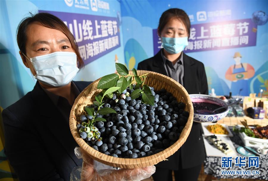 青岛:线上蓝莓节 云端带致富