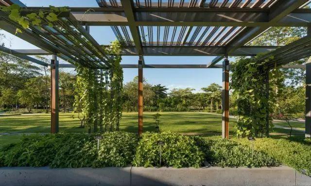 70款·各式景观花架,配上各种藤蔓植物,庭院简直要美翻了!