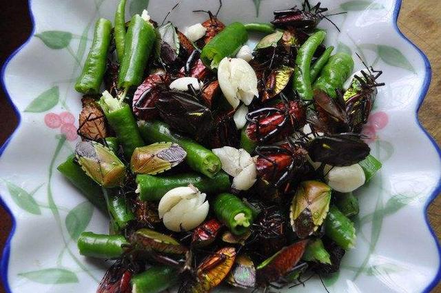 正文       第四种土特产炒九香虫,吃虫子已经是见怪不怪的事情了