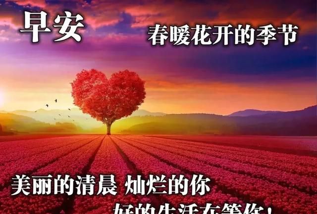 早上好唯美暖心问候语早安祝福语漂亮图片