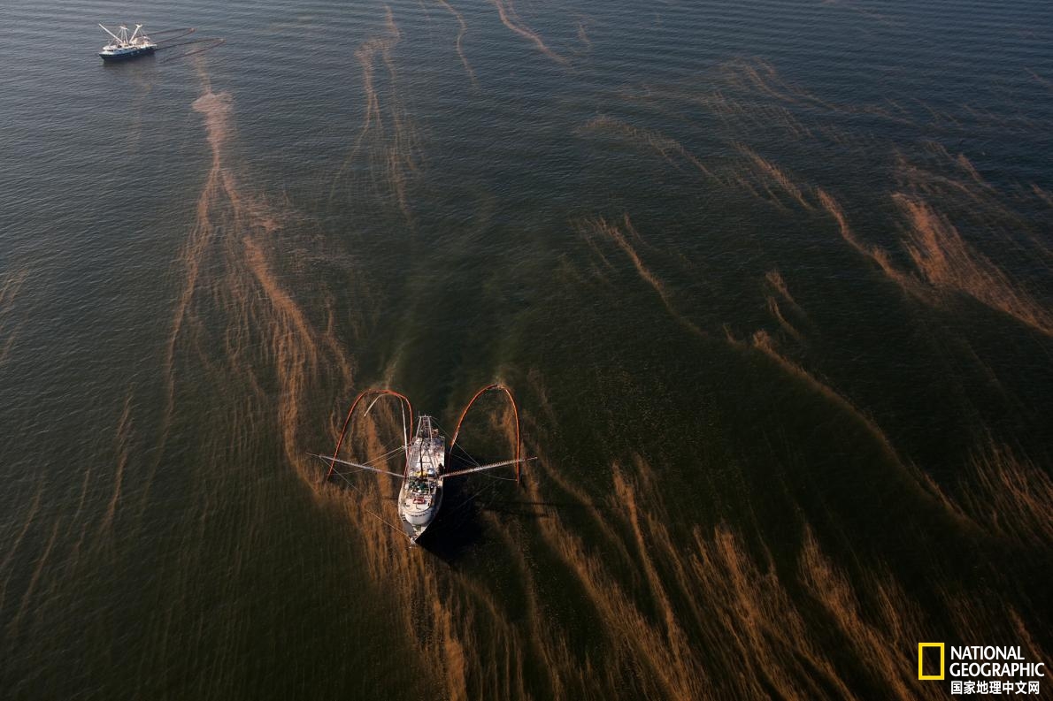 十年过去，石油泄漏的噩梦仍未散去|深水|珊瑚|墨西哥湾_新浪新闻