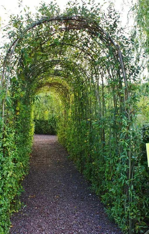 70款·各式景观花架,配上各种藤蔓植物,庭院简直要美翻了!