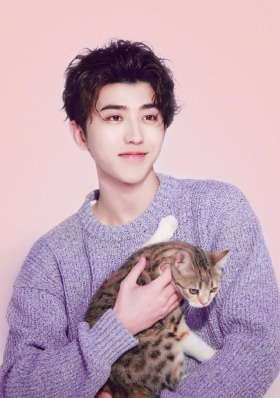 蔡徐坤长得太奶了!穿紫色毛衣怀里抱着小奶猫,乖巧的样子太可爱