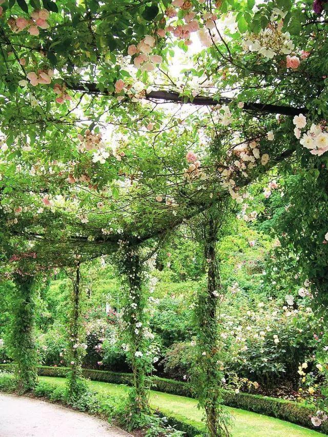 70款·各式景观花架,配上各种藤蔓植物,庭院简直要美翻了!