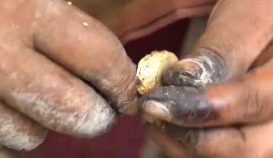 腰果又贵又好吃但剥腰果却是一项酷刑过程非常残忍