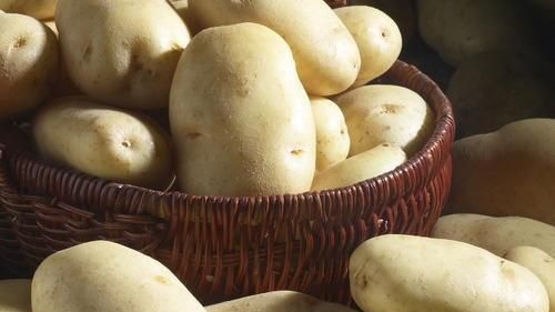 比利时75万吨土豆堆成山,农民呼吁多吃炸薯条,一周吃2次以上