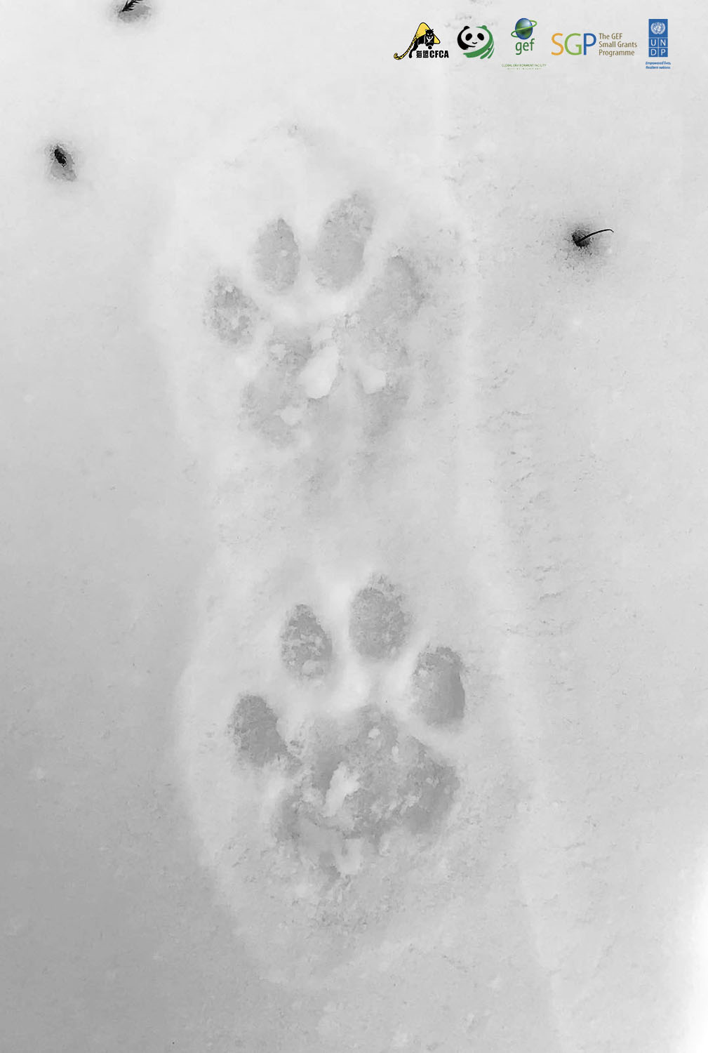 撒个尿而已,全国人民都看见了?