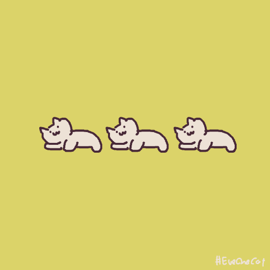 超火的追火车猫表情包怎么这么魔性哈哈哈哈哈