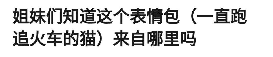 超火的追火車貓表情包怎麼這麼魔性哈哈哈哈哈