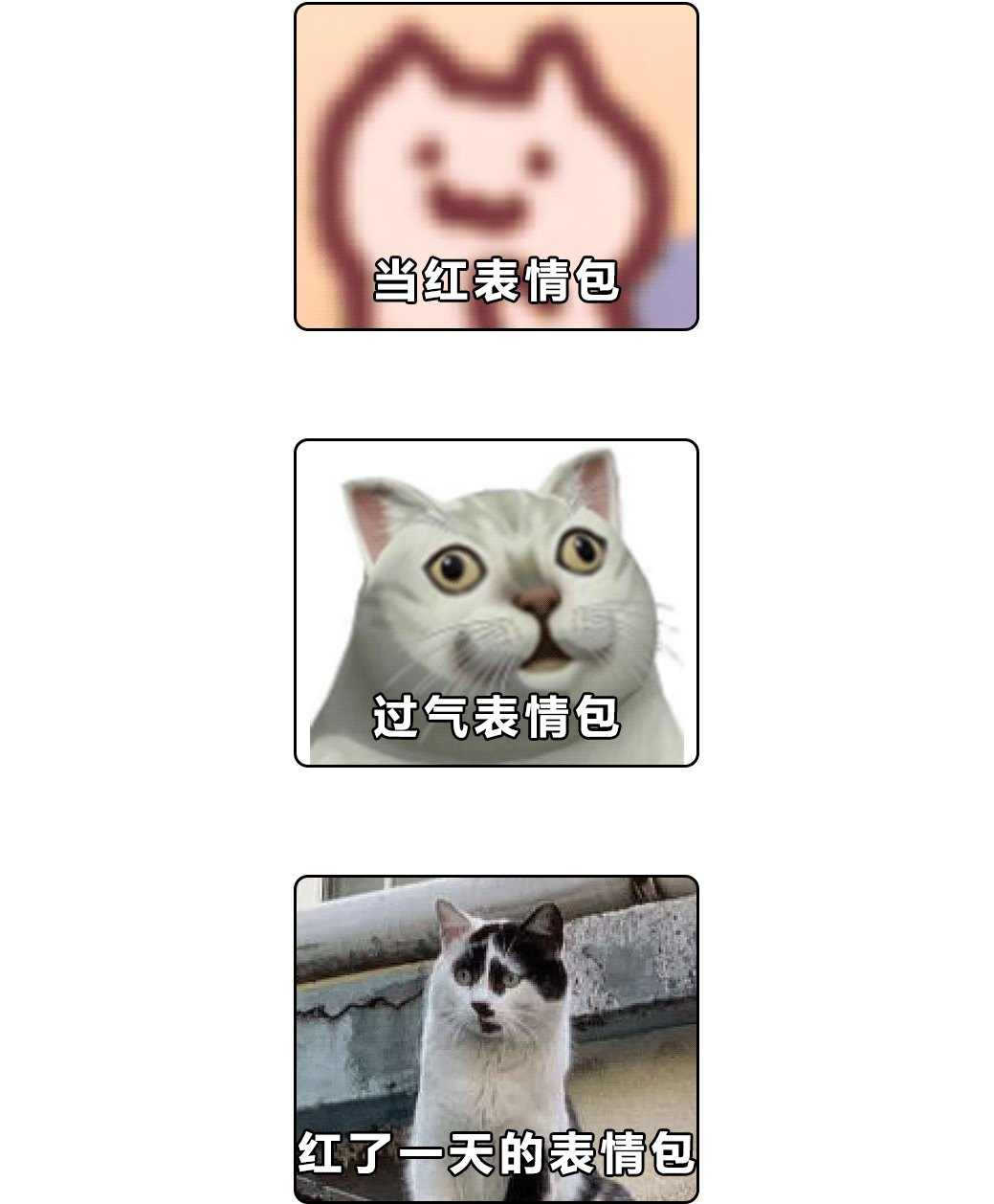 超火的 追火车猫 表情包 怎么这么魔性哈哈哈哈哈 表情包 新浪新闻