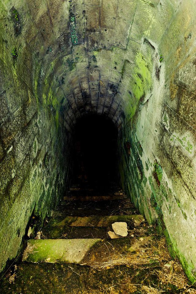 6名德军被埋地洞,六年每天坚持做同一件事,后来怎么样了?