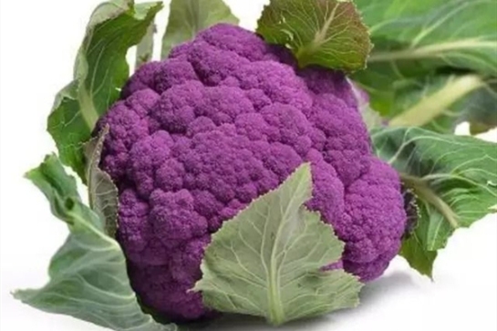 这种紫色胡萝卜在国内并没有普及种植,只有部分地区能够看到,在印度和