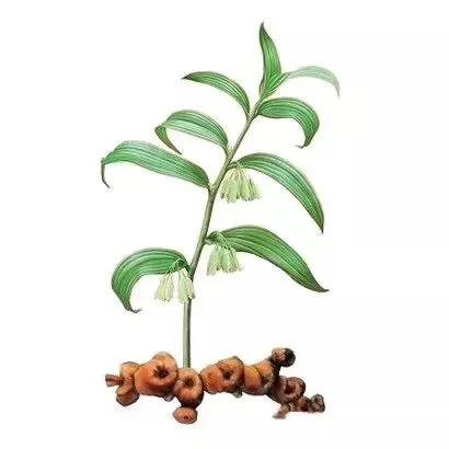 80岁身板硬朗,鹤发童颜