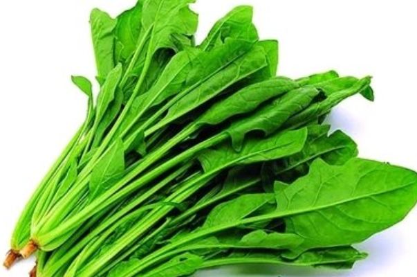 春季女性最该吃的这道减肥菜清肠道排宿便刮油瘦身特厉害