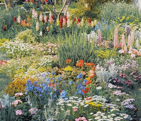 上海共青森林公园,火爆朋友圈的莫奈花园,暮春时节赏各花