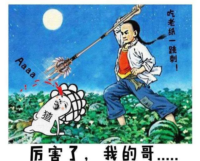 连少年闰土当年西瓜地里手握钢叉插猹,还让猹扭身从其胯下逃走.