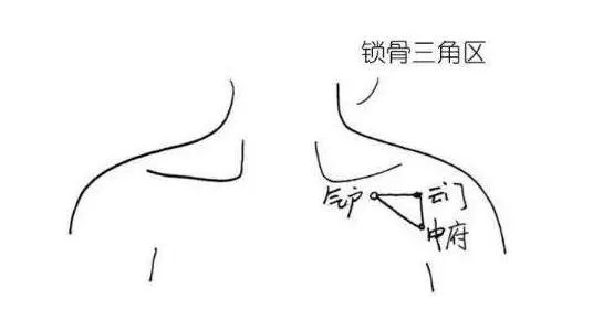 肺不好的人,身体会有1黑2痛3多,若没有,说明肺部比较健康