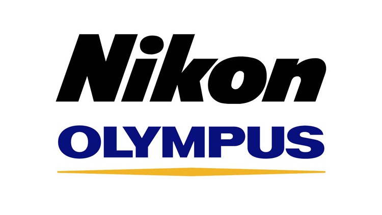 疫情影响数据统计尼康奥林巴斯决定推迟公布财报