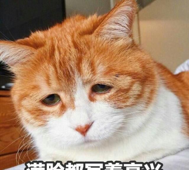 类似那些"满脸写着高兴"配着一张"哭丧脸"的"表情包",笔者可以负责任
