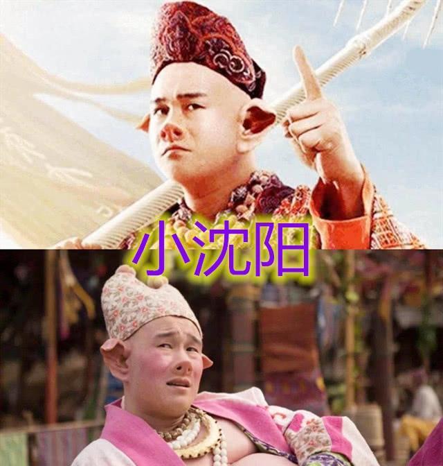 演过"猪"演员:小沈阳最不像,徐峥最可爱,最后一个看到就想吐|猪八戒