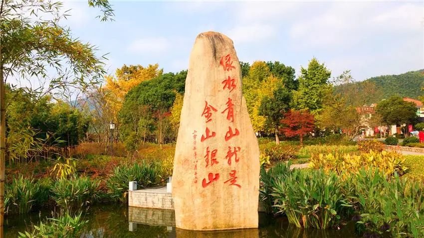 "两山" 第一波!杭州三位镇亮相!带货当地大米,毛竹,银杏!