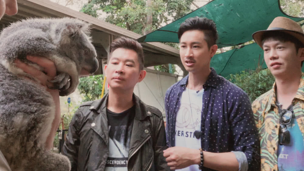 治愈观众"快节奏"生活|周游记|邱凯伟|周杰伦_新浪新闻