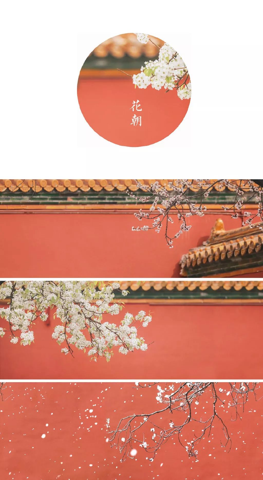 那些刷屏的故宫照片原来是她拍的太美了