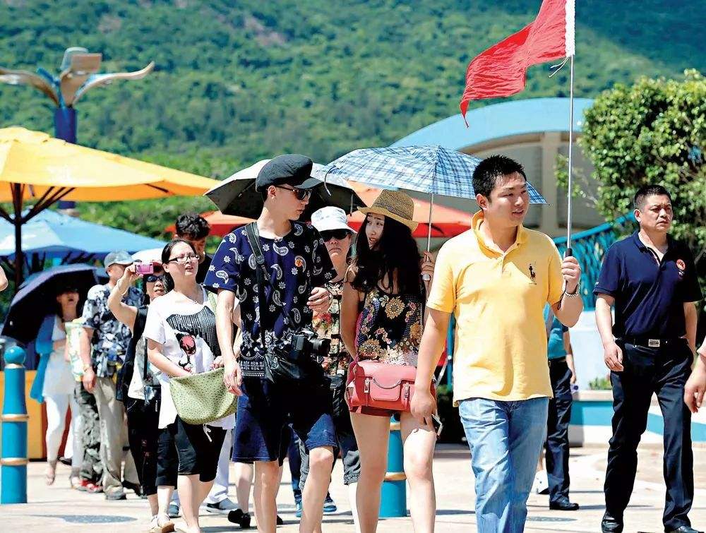 旅行团的导游为什么不和游客一起吃饭原因与我们想的差别太大