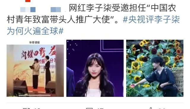 粉丝激增远超bbc,直播吆喝不如回家种地|李子柒|豌豆|花式_新浪新闻