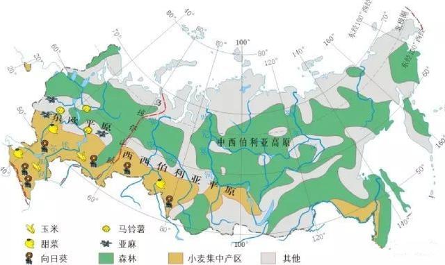 粮食不够了!出口配额已用完,俄罗斯突然宣布"谷物暂停出口"!