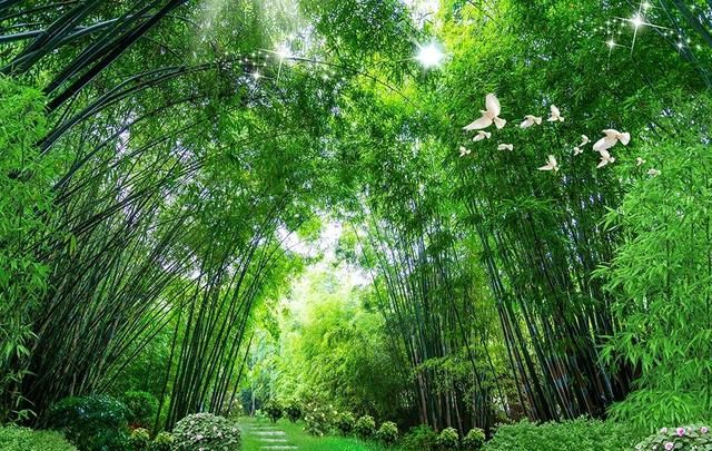 山东最美古村,当地村民住在竹林当中,网友:太胜贤了吧