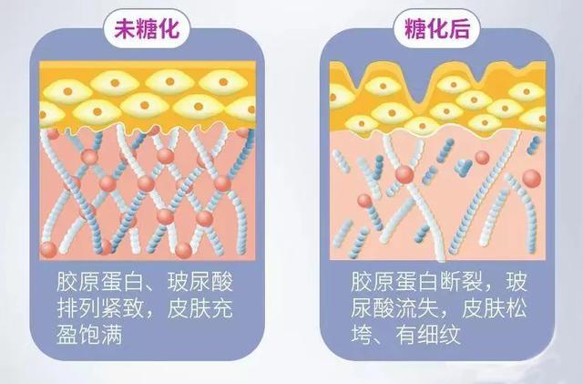 壹知肤：抗皮肤衰老，我们到底在抗什么？|皮肤|皱纹|自由基_新浪新闻