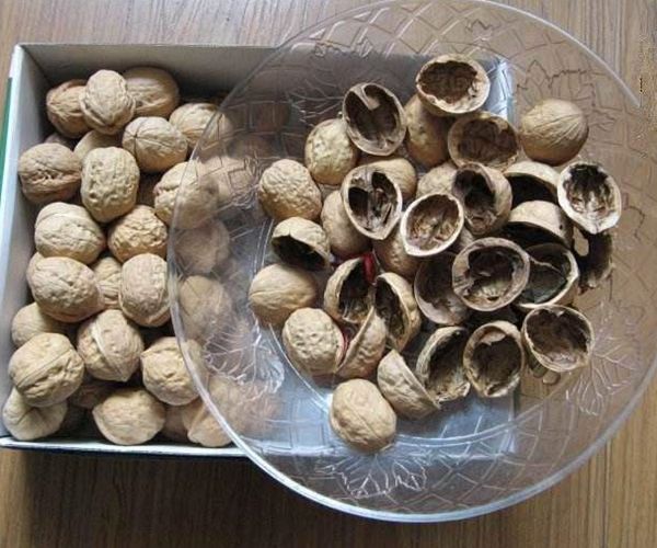吃了核桃,核桃皮千万"不要扔",能够解决男女老少的问题