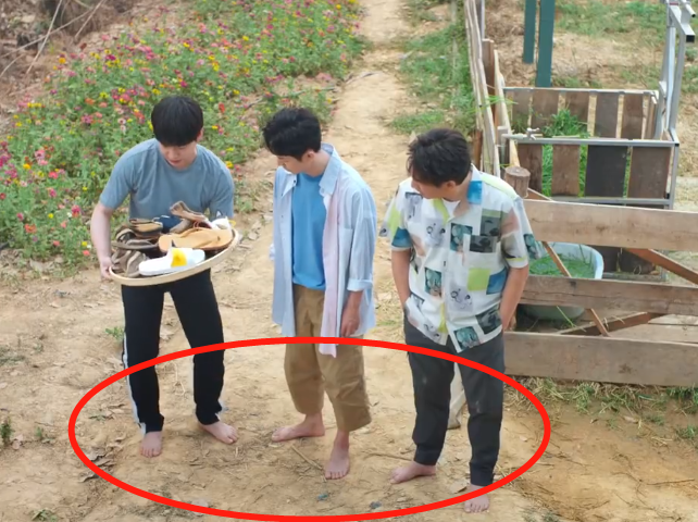 《向往4》别人光脚踩地,看清张子枫脚上打扮,刷新我对女星认识