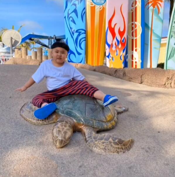 郭德纲妻子晒小儿子萌照,郭汾阳留小辫子,浑身肉嘟嘟超可爱