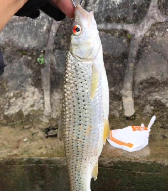 不懂分辨真正好天气,出门钓鱼等于浪费时间