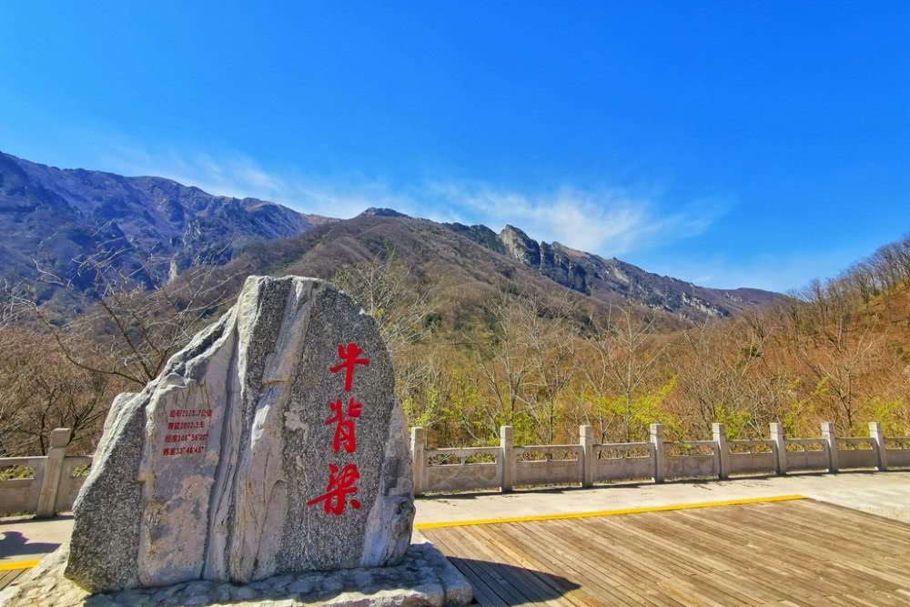 牛背梁因牛得名,牛就是"秦岭四宝"中的羚牛,这里是"秦岭自然保护区群"