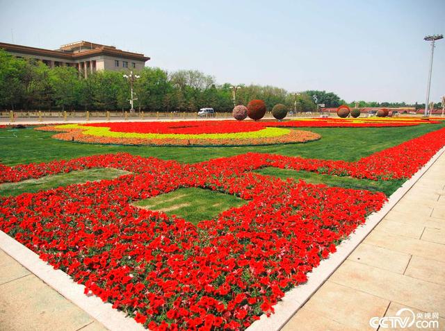 北京五一花坛花卉图片