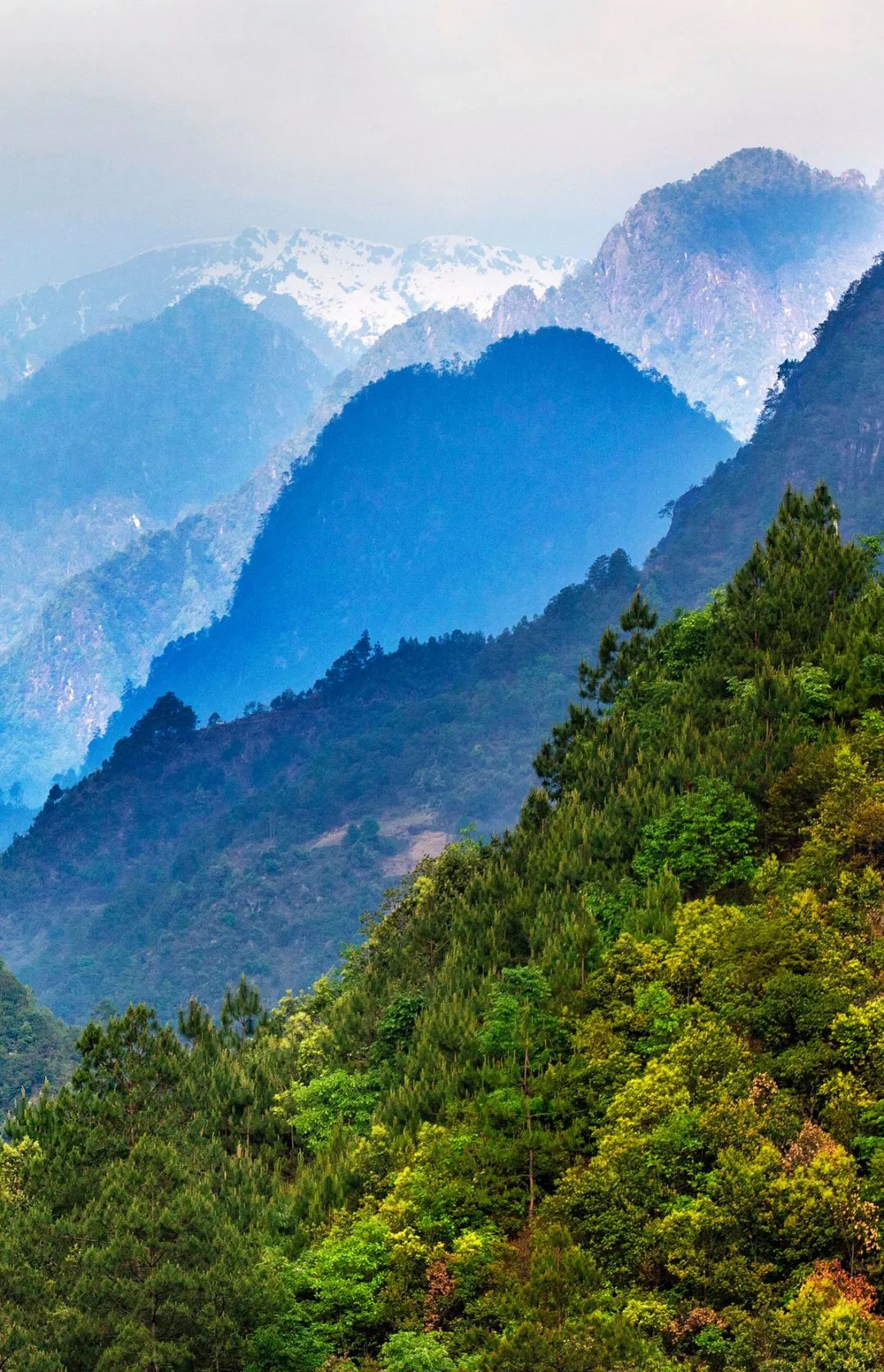 高黎贡山|范朋飞_新浪新闻
