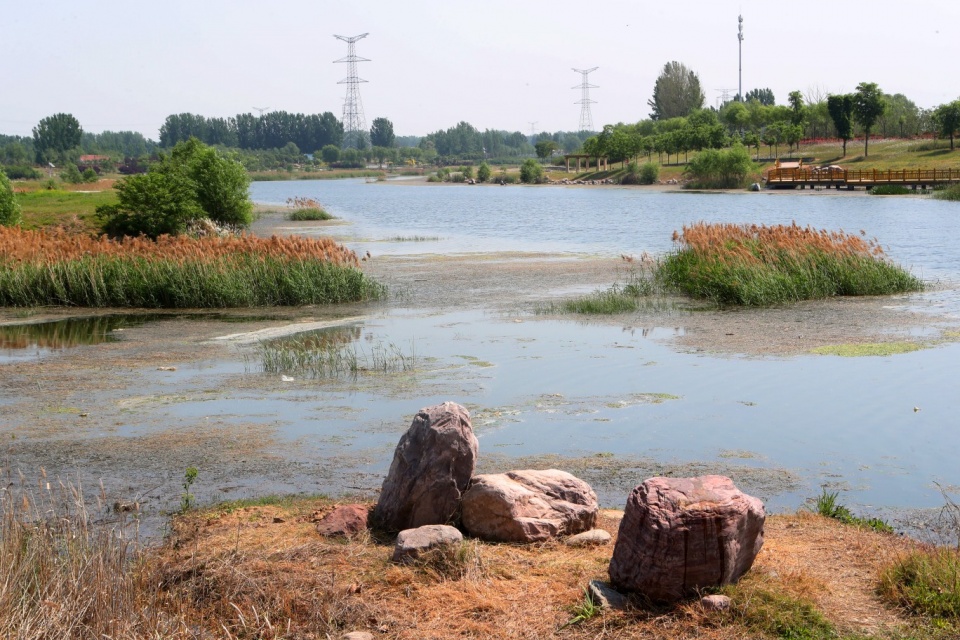 郑州索须河湿地公园图片
