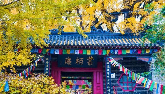 山东这一低调景区,置身其中宛如“世外桃源”,门票只要20块钱