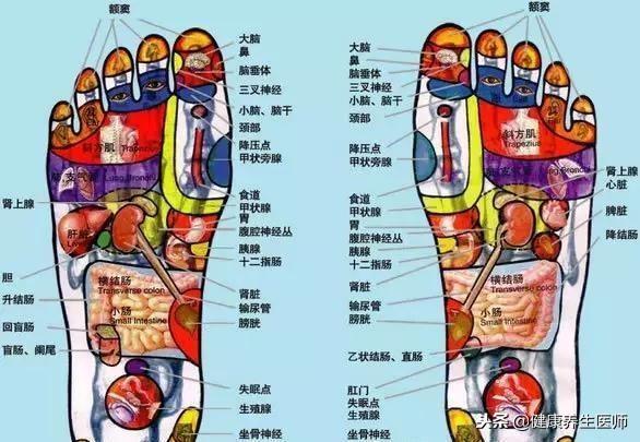 脚是第二个"心脏",脚底有哪些穴位,中医教你足底按摩!快收藏