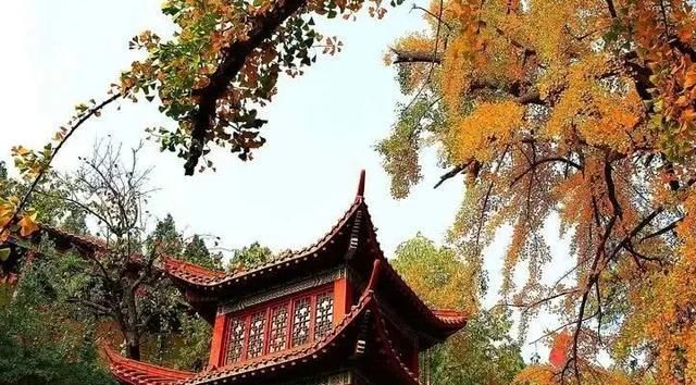 山东这一低调景区,置身其中宛如“世外桃源”,门票只要20块钱