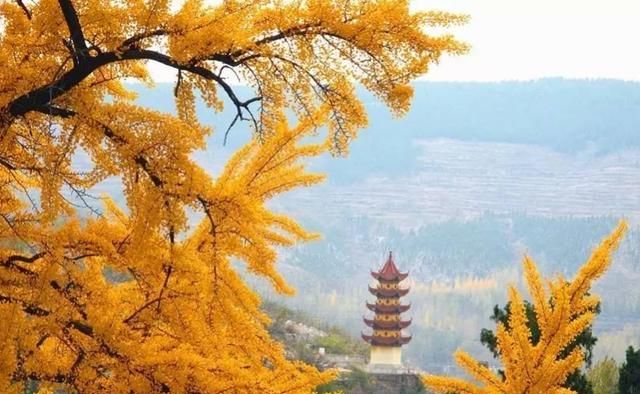 山东这一低调景区,置身其中宛如“世外桃源”,门票只要20块钱