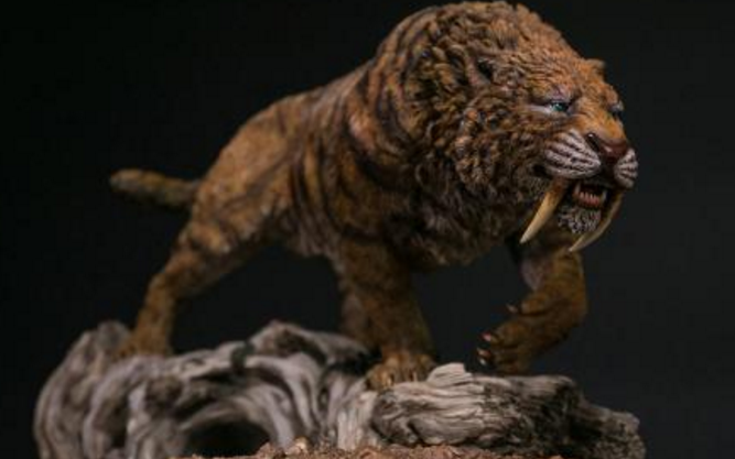 猫的祖先是什么?研究员终于找到答案