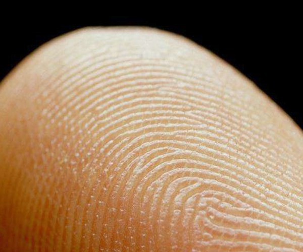 手相大师发话了:手指有几个斗,就代表你是什么命,赶紧数数自己