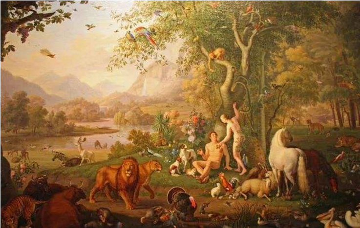 "夏娃理论"被科学家提出,来源于一位非洲女性,人类都是亲戚?