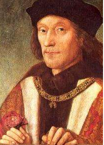 以缔结和阿拉贡国王斐迪南二世及卡斯蒂利亚女王伊莎贝拉一世的同盟