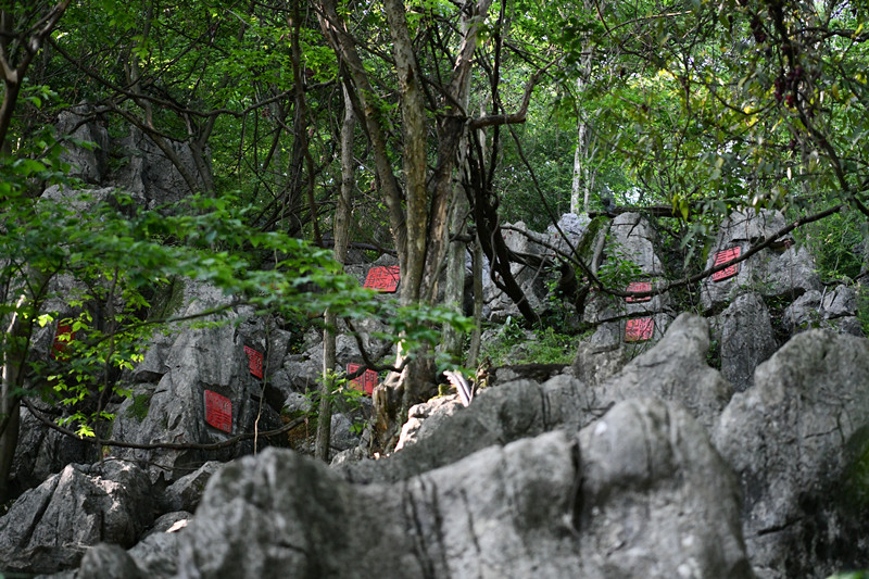 常宁·中国印山景区开园,市民尽享印章文化盛宴