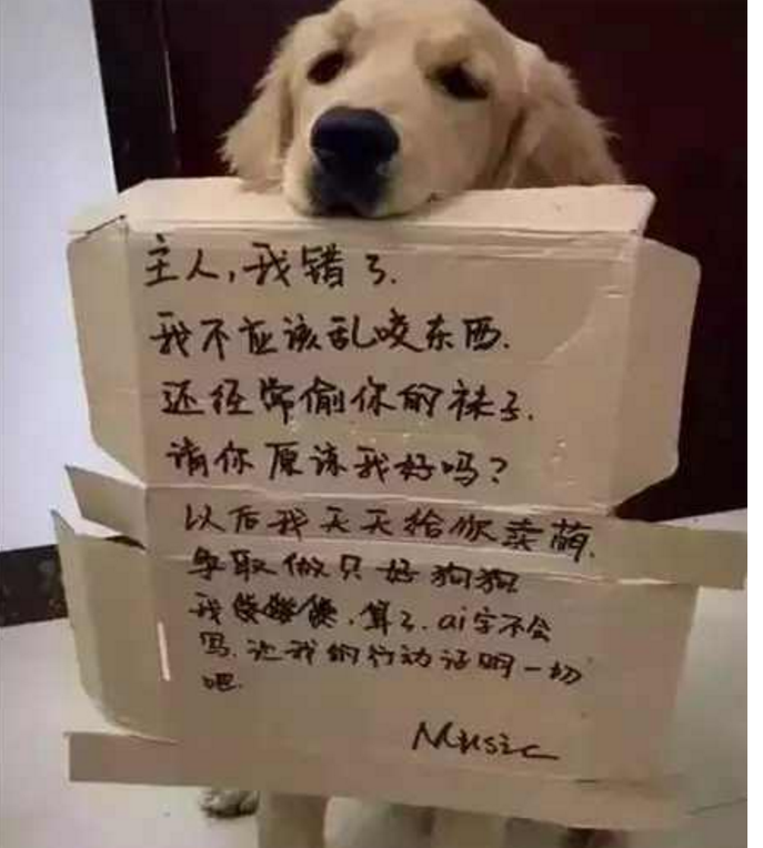 金毛犯了错误主人这么惩罚他狡猾的金毛让主人都无奈了